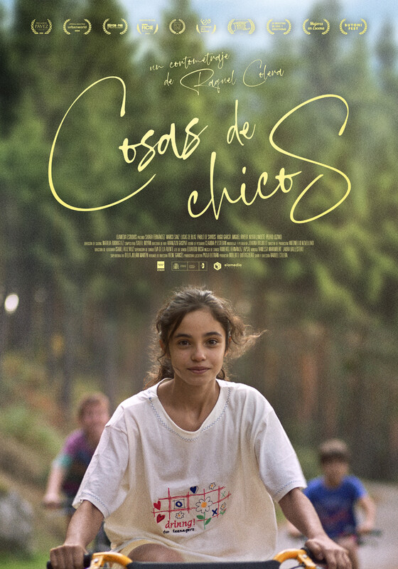 Affiche du film COSAS DE CHICOS 